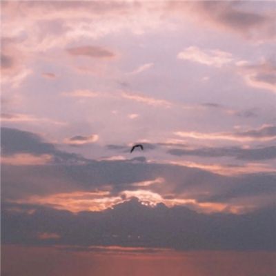 半岛·综合体育下载·官方网站