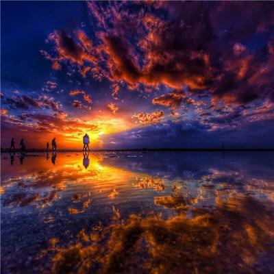 大小单双赚钱平台