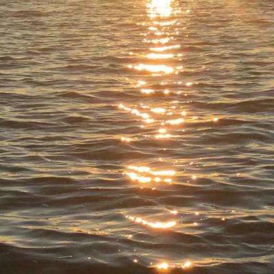 乐鱼官网app下载