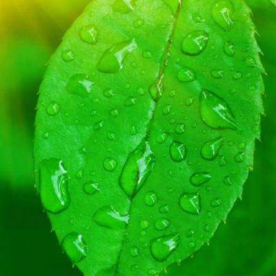 998娱乐彩票安卓APPapp下载截图